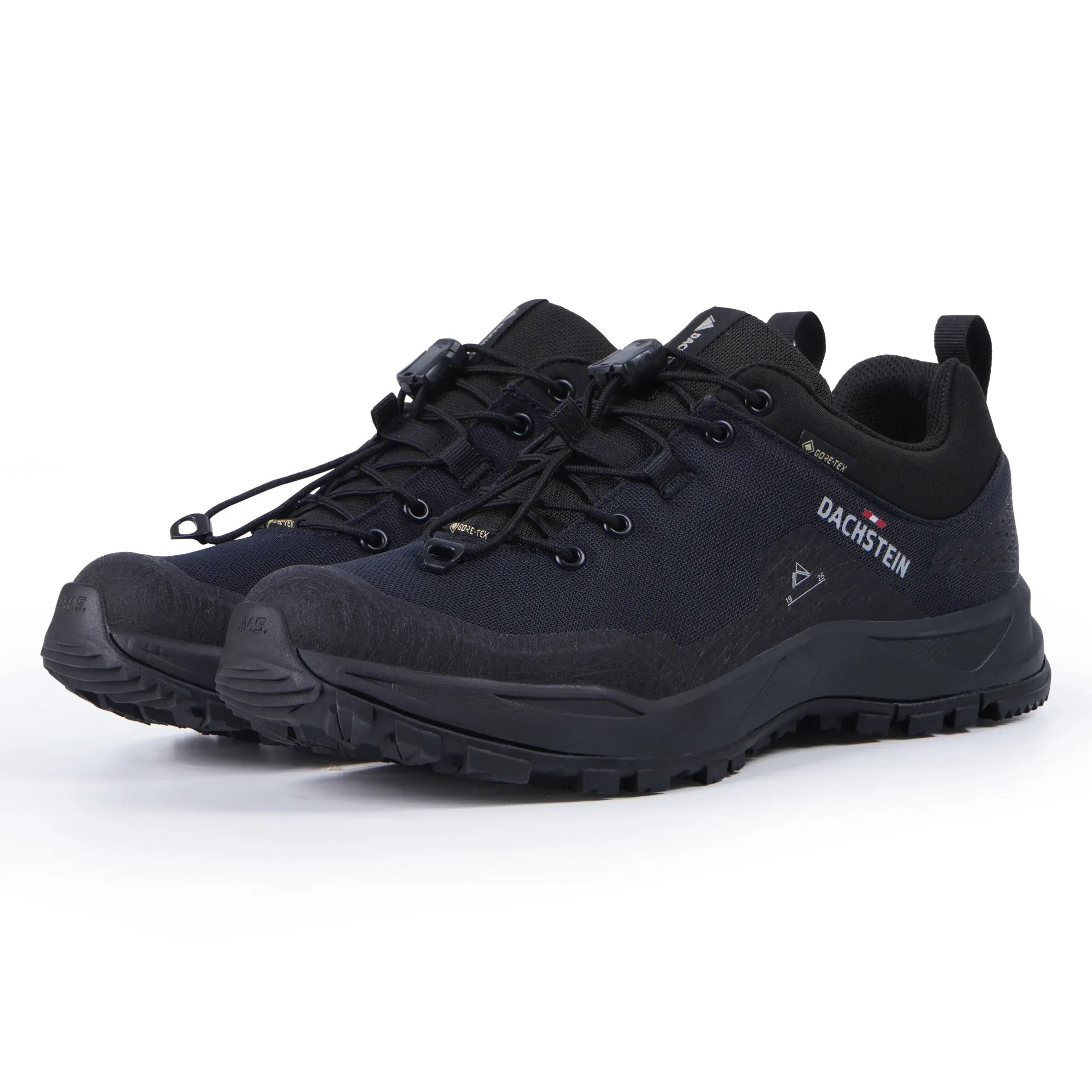 Dachstein Delta Peak GTX Wmn