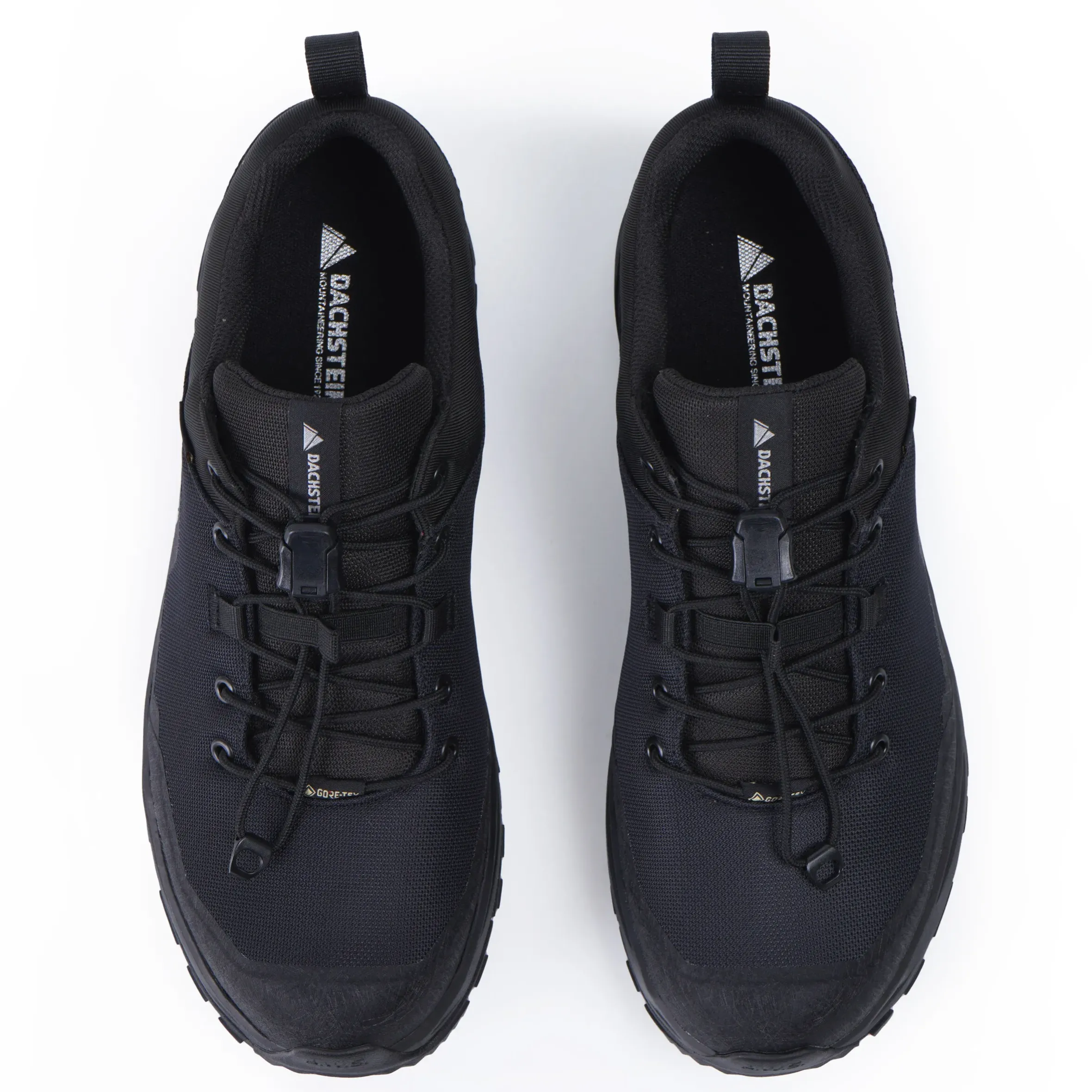 Dachstein Delta Peak GTX Wmn