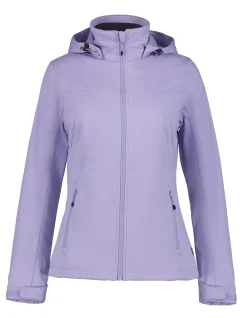 Icepeak Boise