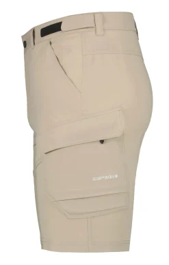 Icepeak Braswell