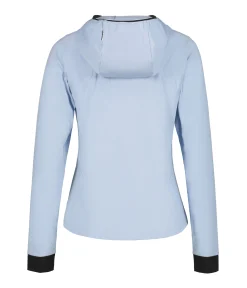 Icepeak Dinan