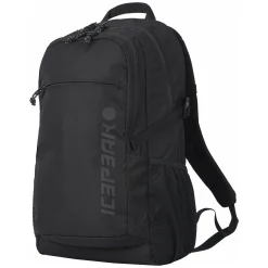 Icepeak Geiger