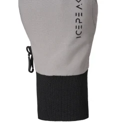 Icepeak Hartwell Jr