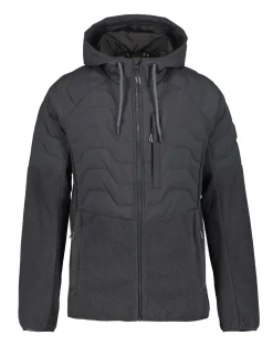 Icepeak Manistee