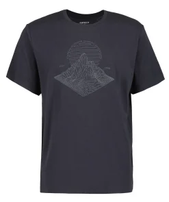 Icepeak Marsing