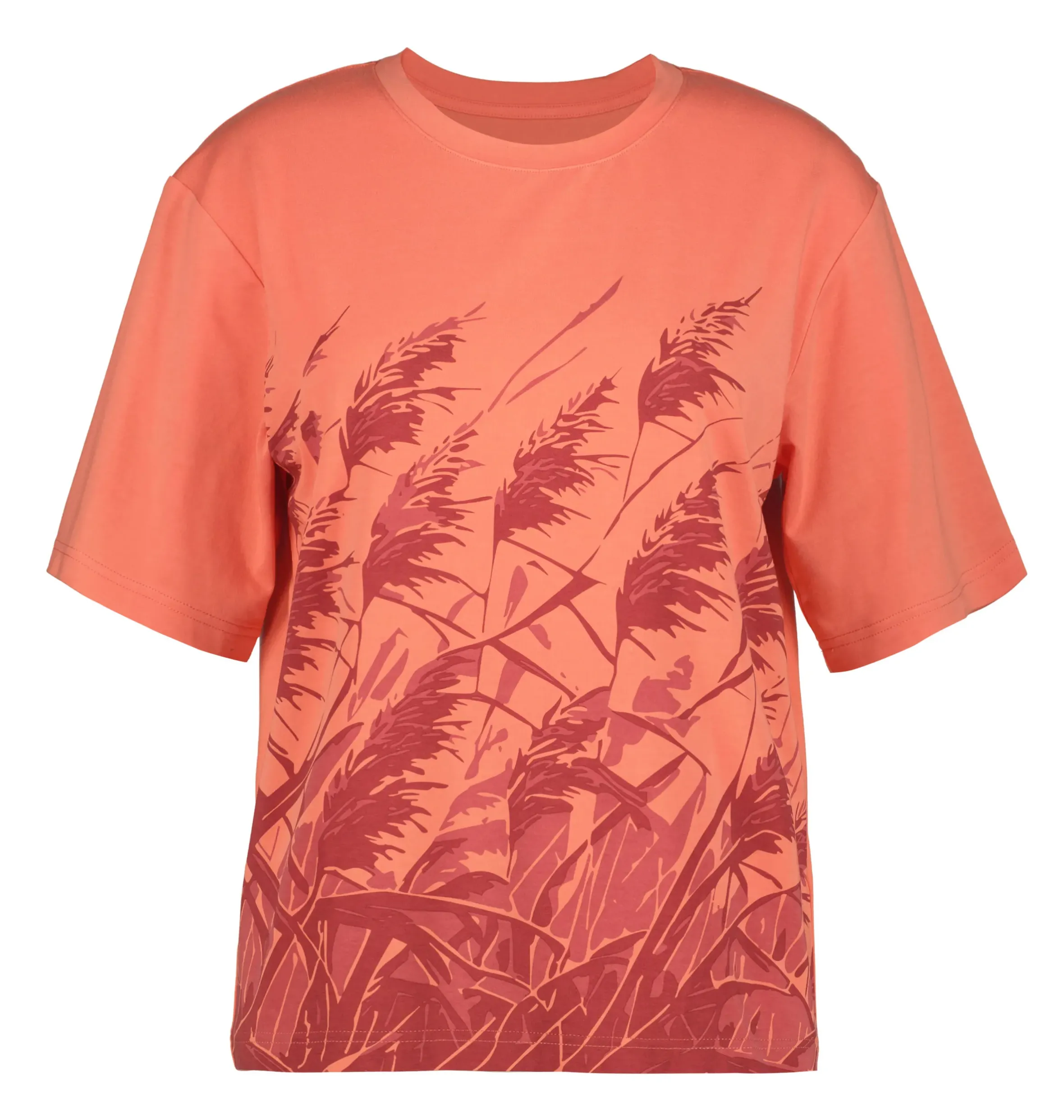 Icepeak Meigs