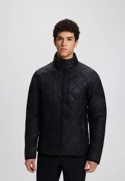 Icepeak Palmer