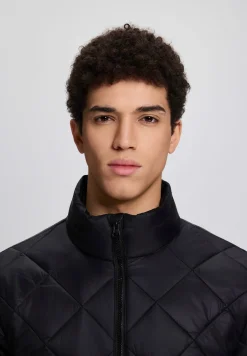 Icepeak Palmer