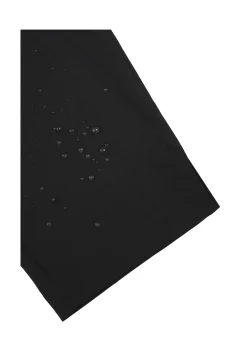 Icepeak Penitas
