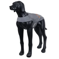 Icepeak Pet Brightly visibilityvest