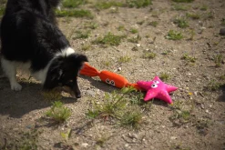 Icepeak Pet Coral Floating Toy
