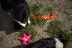 Icepeak Pet Coral Floating Toy