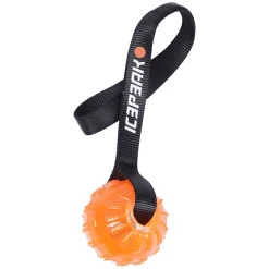 Icepeak Pet Gel ball with handle