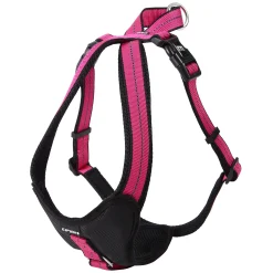 Icepeak Pet Highway harness