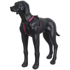 Icepeak Pet Highway harness