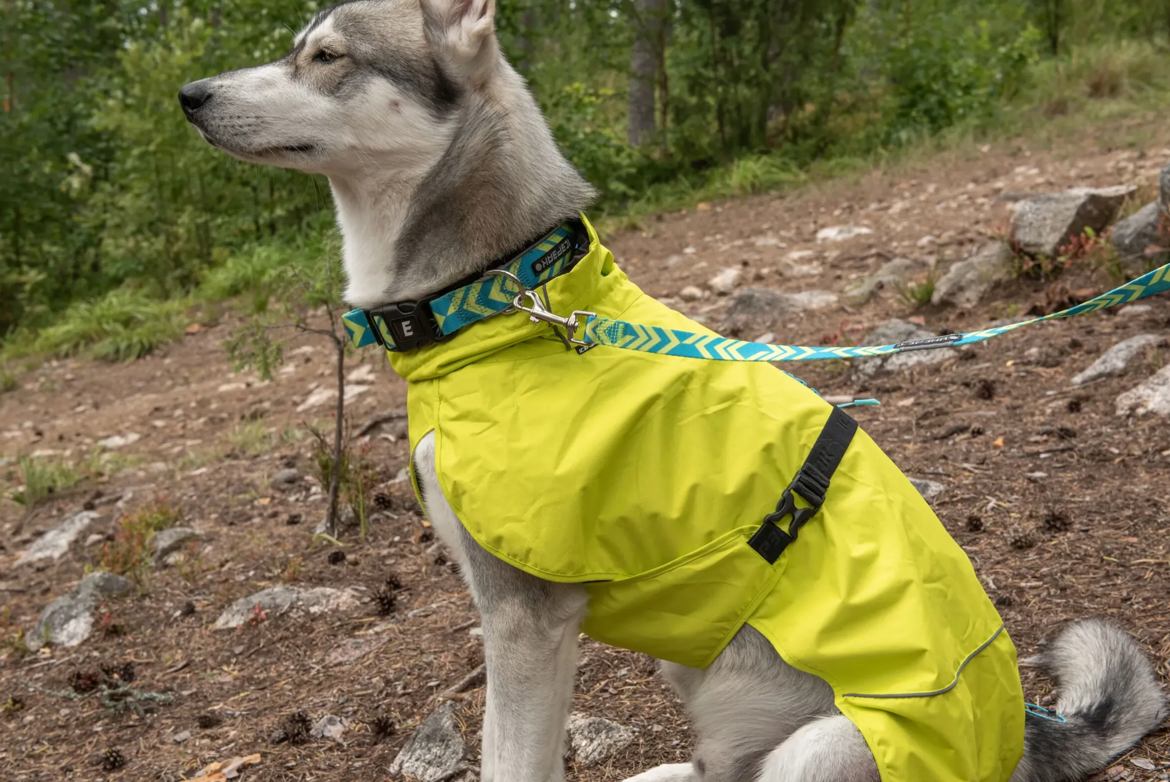 Icepeak Pet Live soft collar