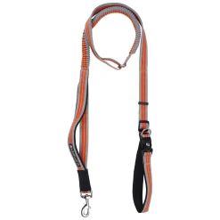 Icepeak Pet Trail running leash