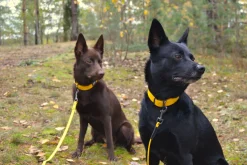 Rukka Pets Biodipro Collar