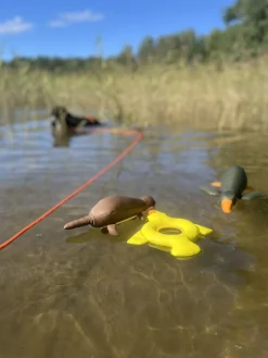 Rukka Pets Bird Floating Toy