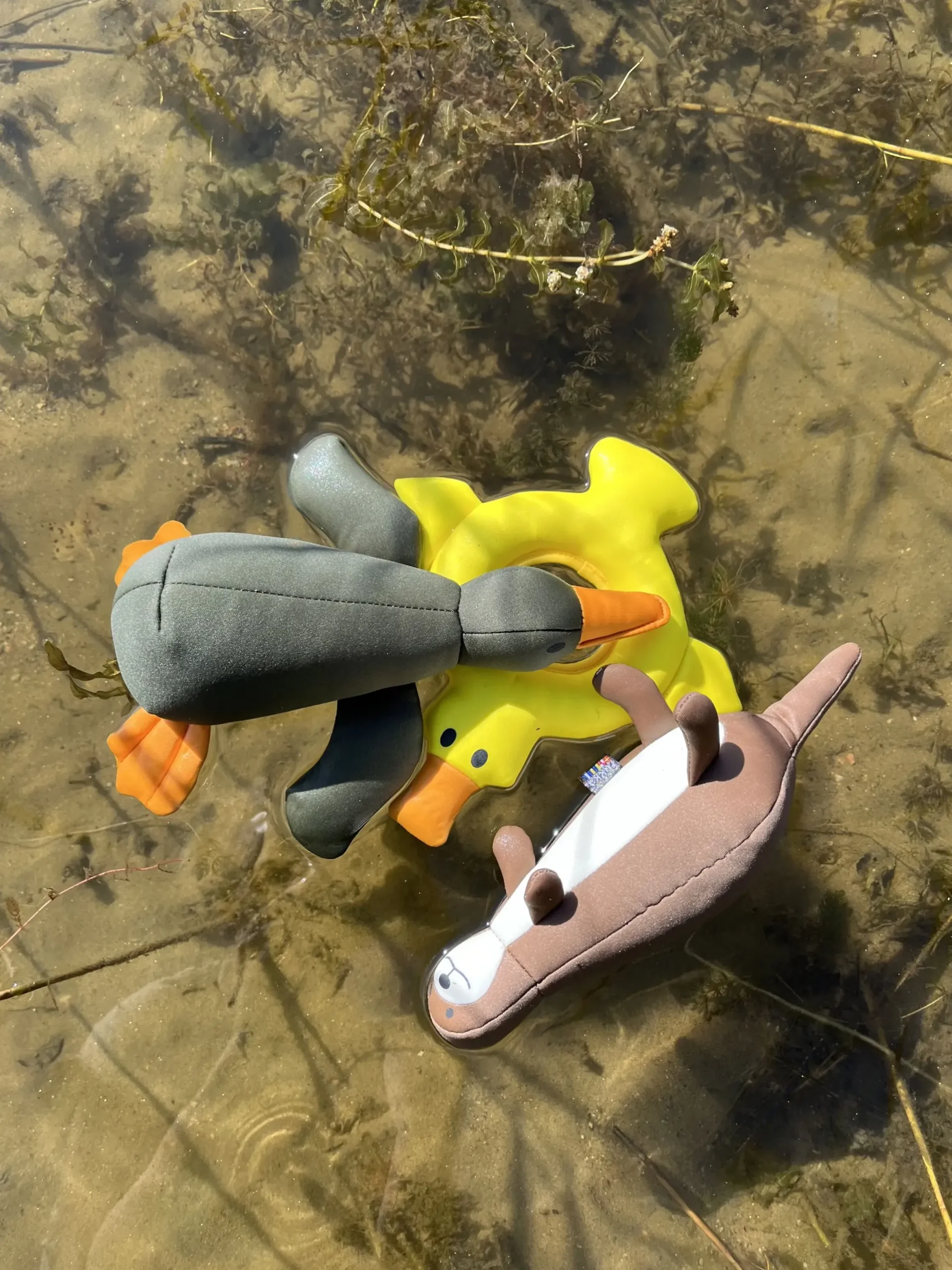 Rukka Pets Bird Floating Toy