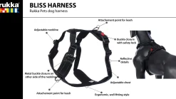 Rukka Pets Bliss Harness
