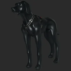 Rukka Pets Bliss Harness