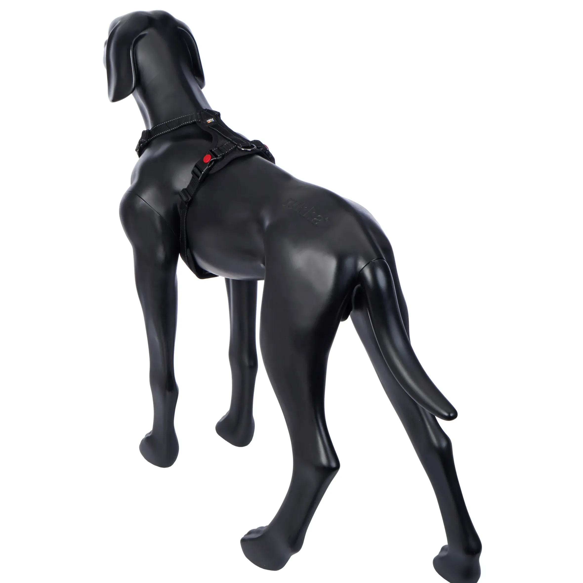 Rukka Pets Bliss Harness