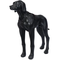 Rukka Pets Bliss Harness