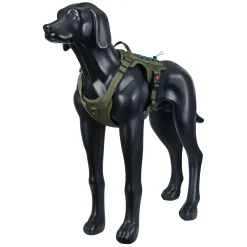Rukka Pets Bliss x trek Harness