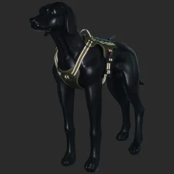 Rukka Pets Bliss x trek Harness