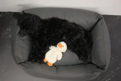 Rukka Pets Calm Duck Toy