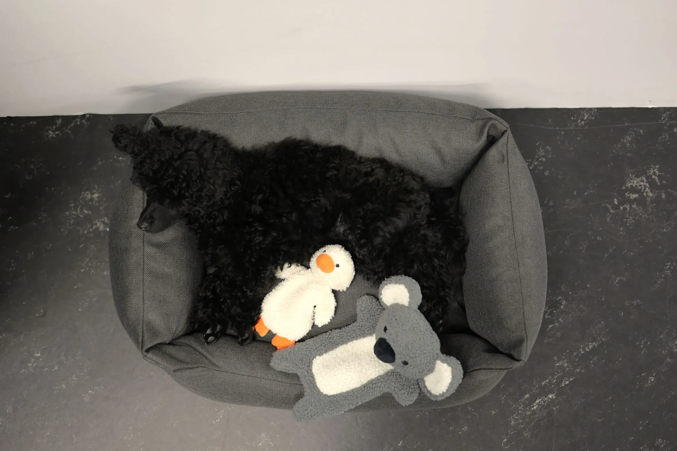 Rukka Pets Calm Duck Toy