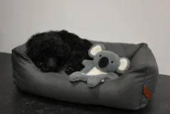 Rukka pets Calm Koala Toy