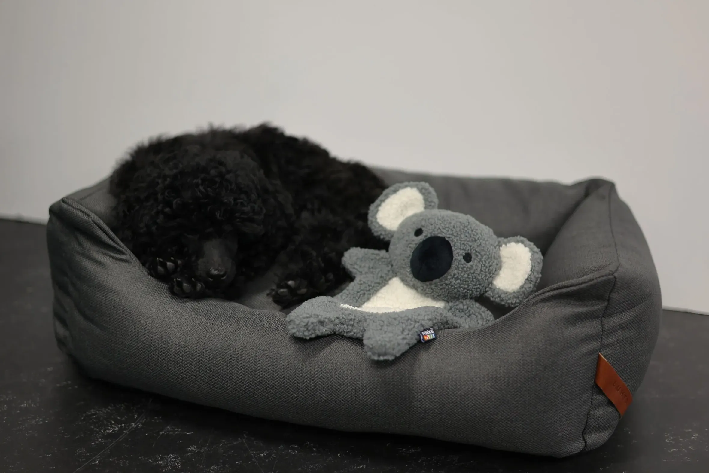 Rukka pets Calm Koala Toy