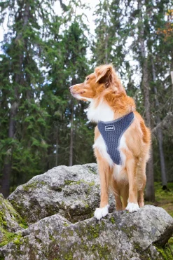 Rukka Pets Comfort air harness