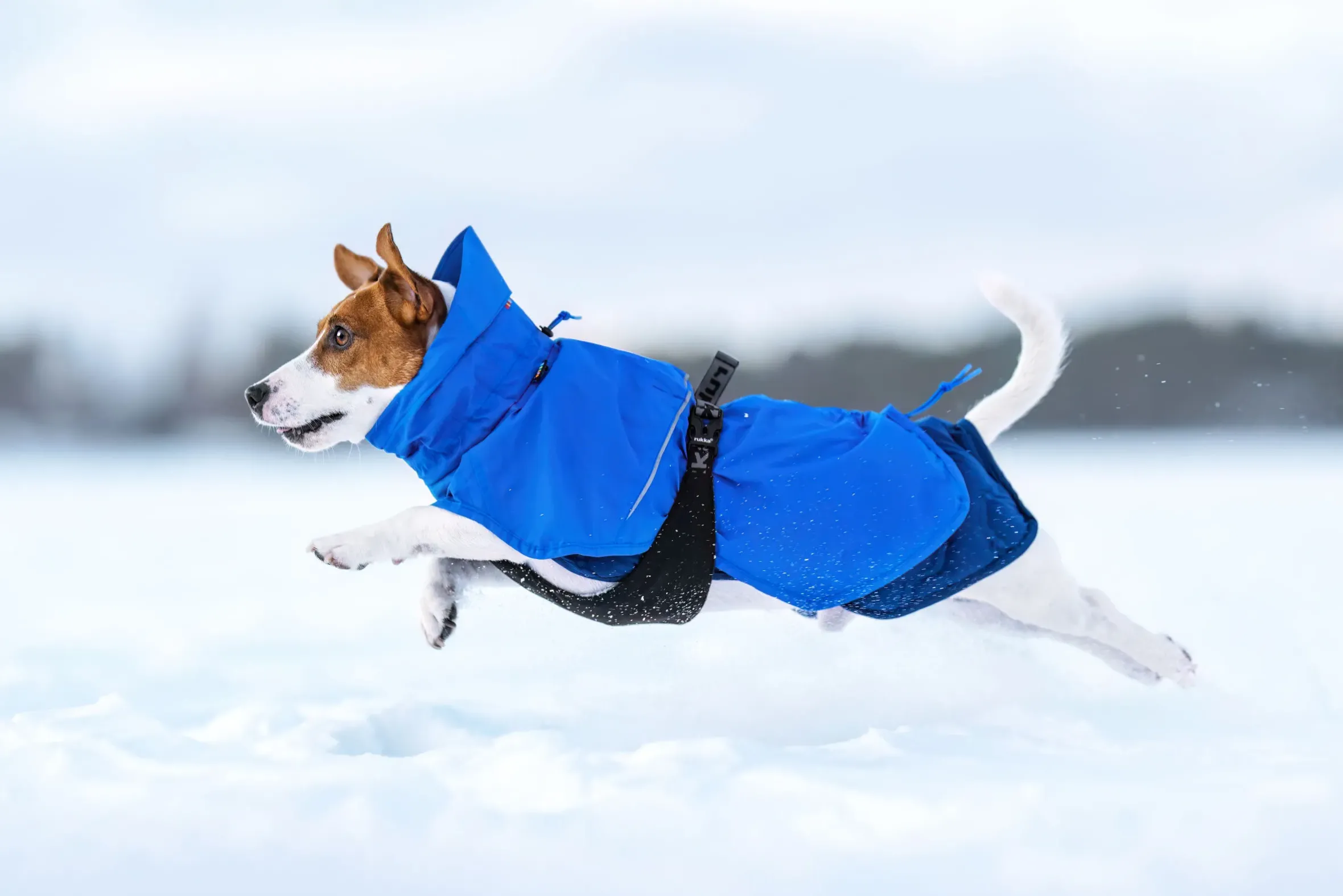 Rukka Pets Discovery 3In1 Coat