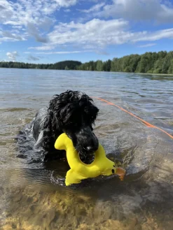 Rukka Pets Duck Floating Toy