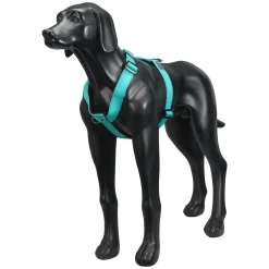 Rukka Pets Form harness