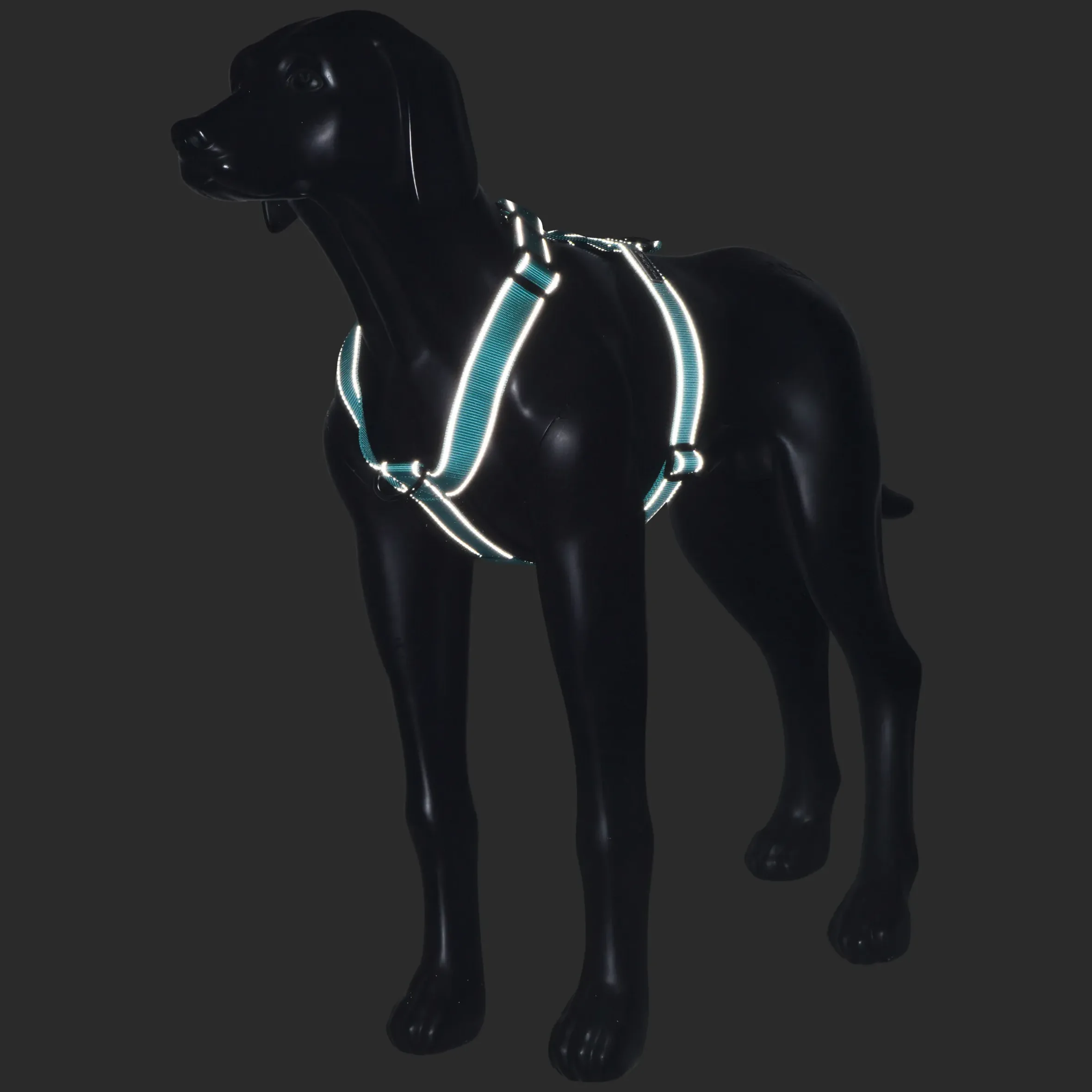 Rukka Pets Form harness