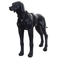 Rukka Pets Form harness