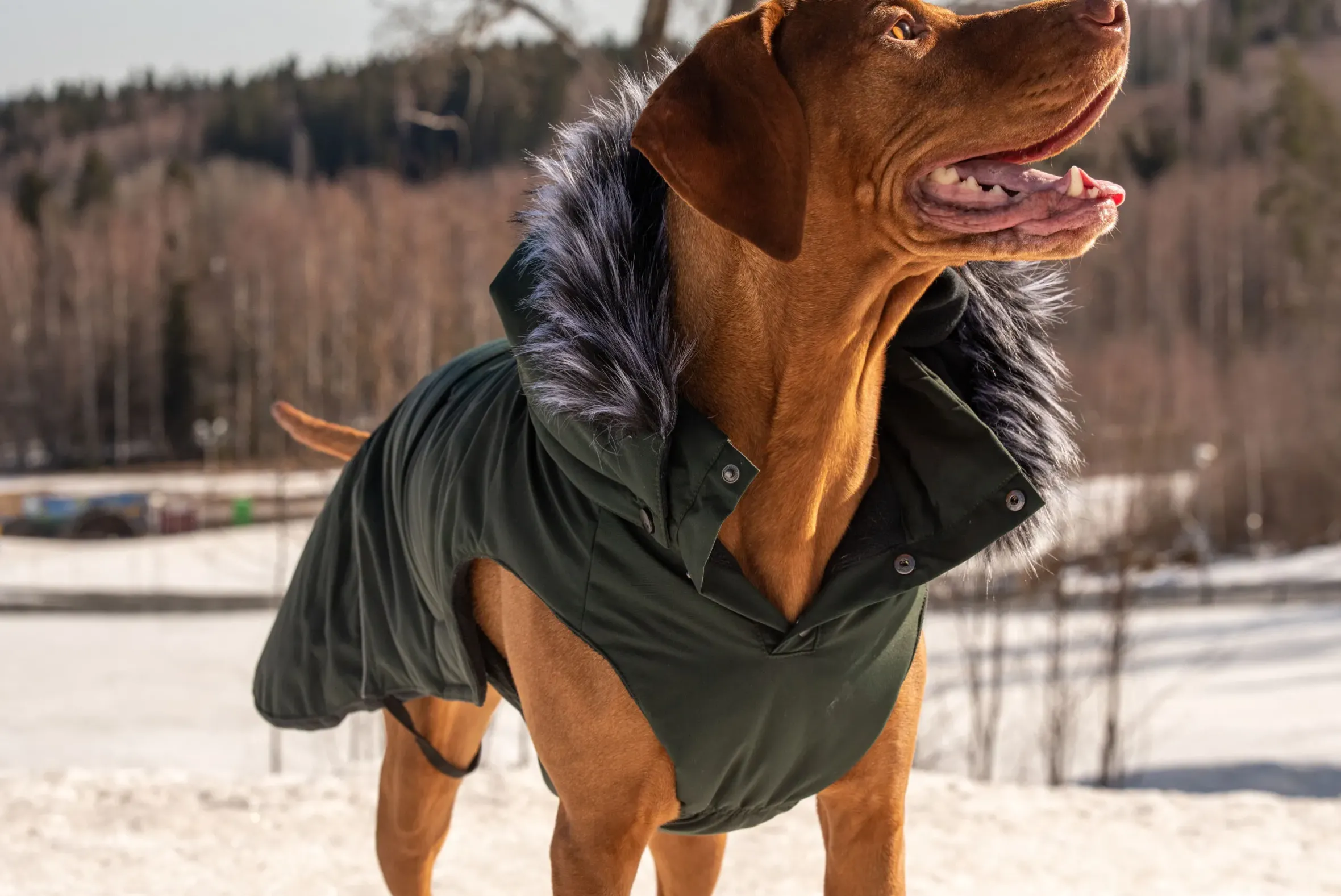 Rukka Pets Frostbiter parka