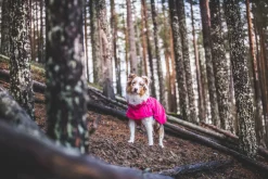 Rukka Pets Hase raincoat