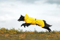 Rukka Pets Hayton x raincoat