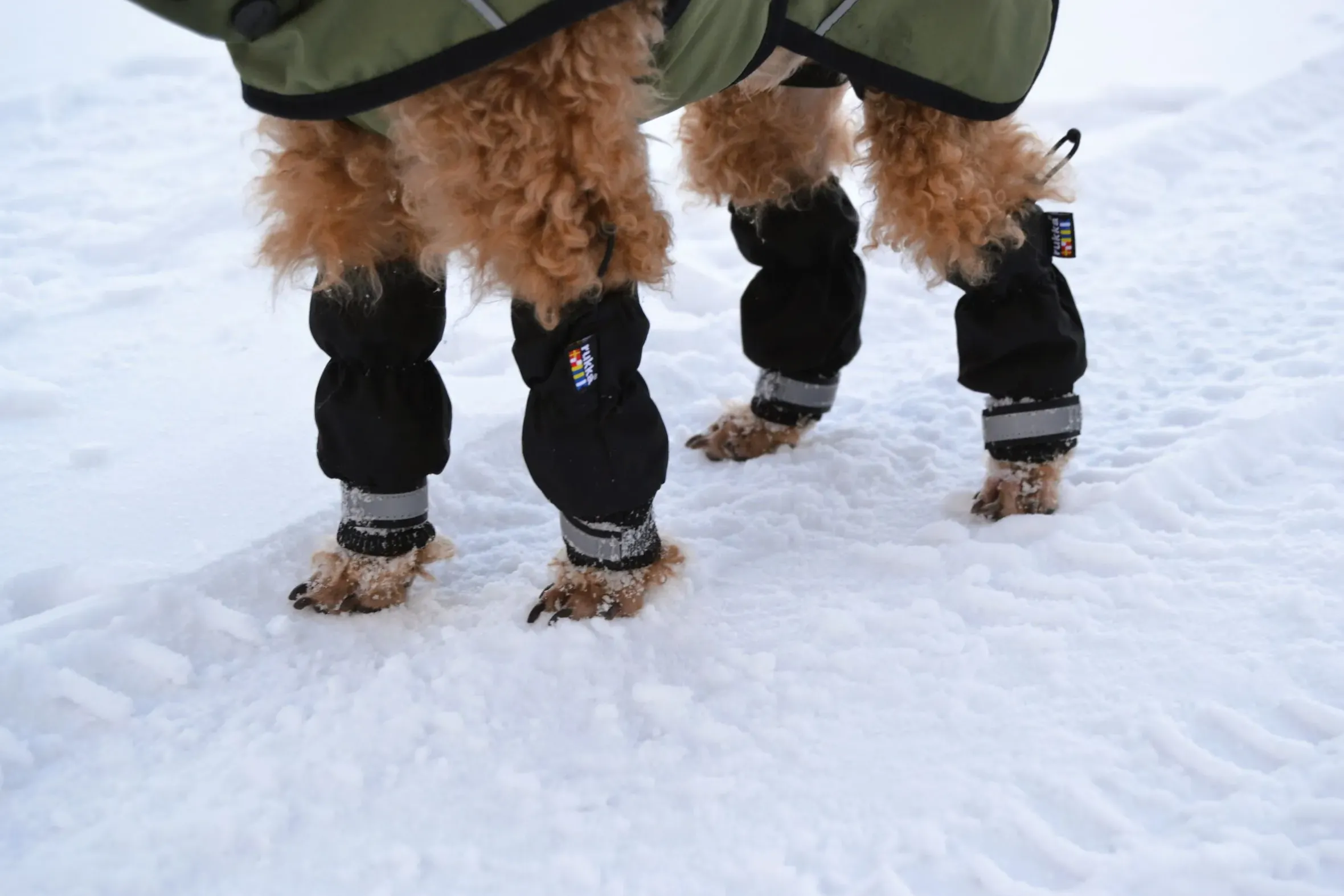 Rukka Pets Line Leg Covers