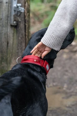 Rukka Pets Mission collar