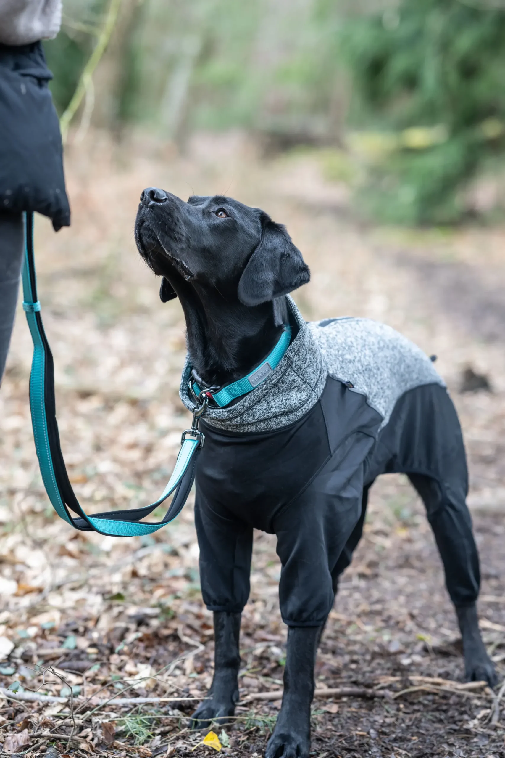 Rukka Pets Solid collar