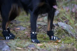 Rukka pets Step shoes