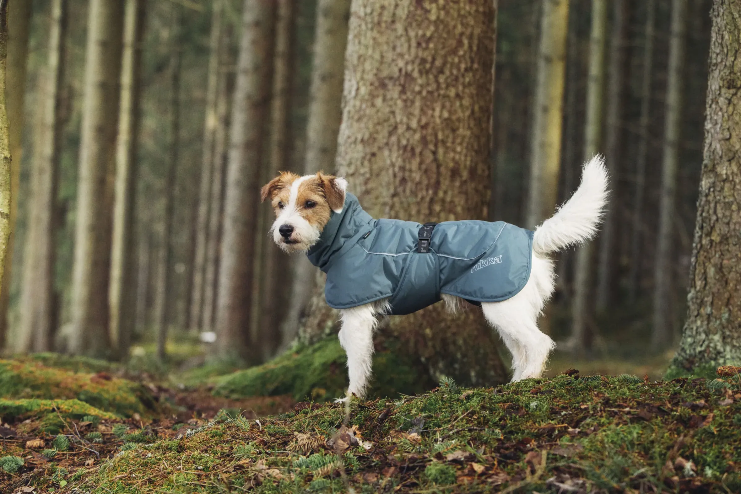 Rukka Pets Stormy coat