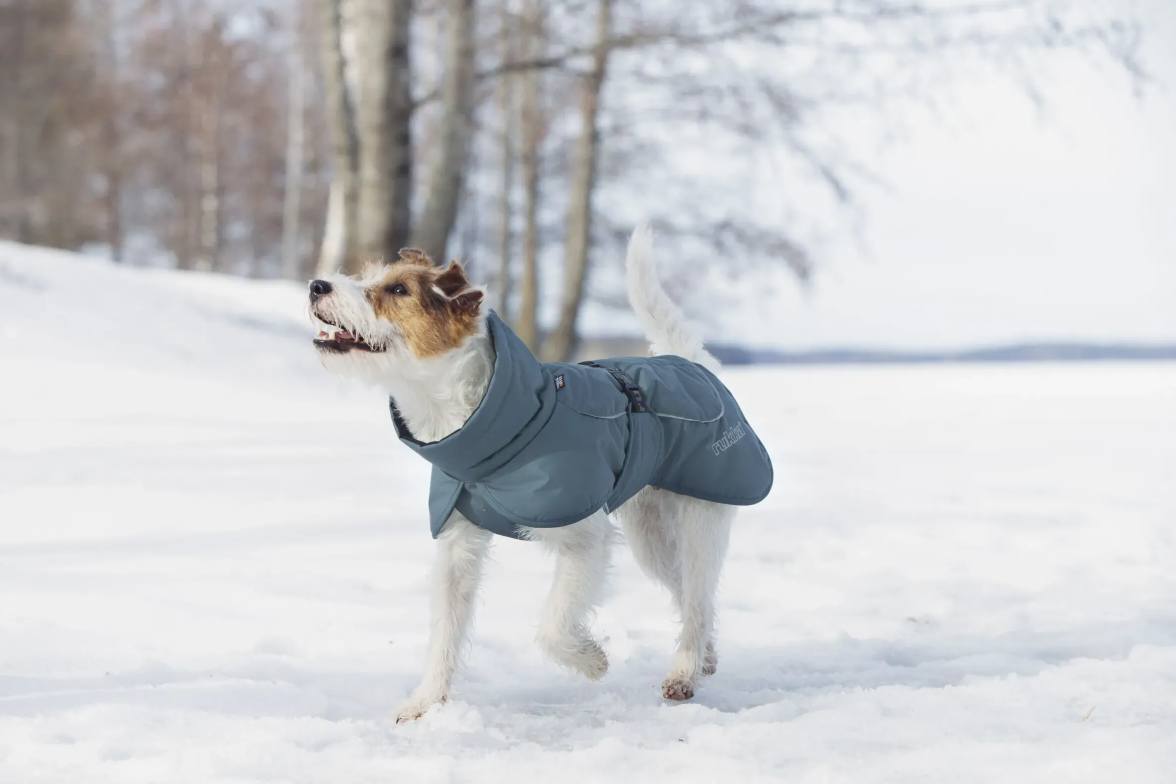 Rukka Pets Stormy coat