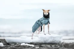 Rukka Pets Stormy coat
